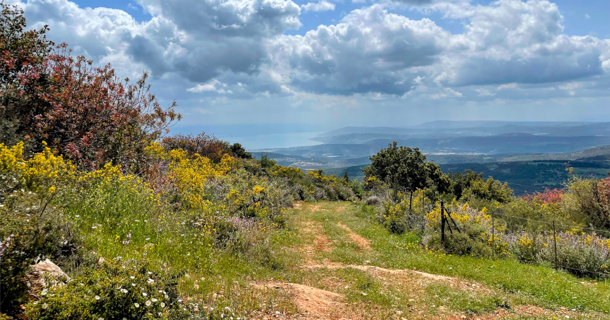 A trail leading to the Sea of Galilee which can be seen in the horizon - Shefer, Israel